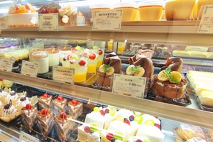 ショーケース